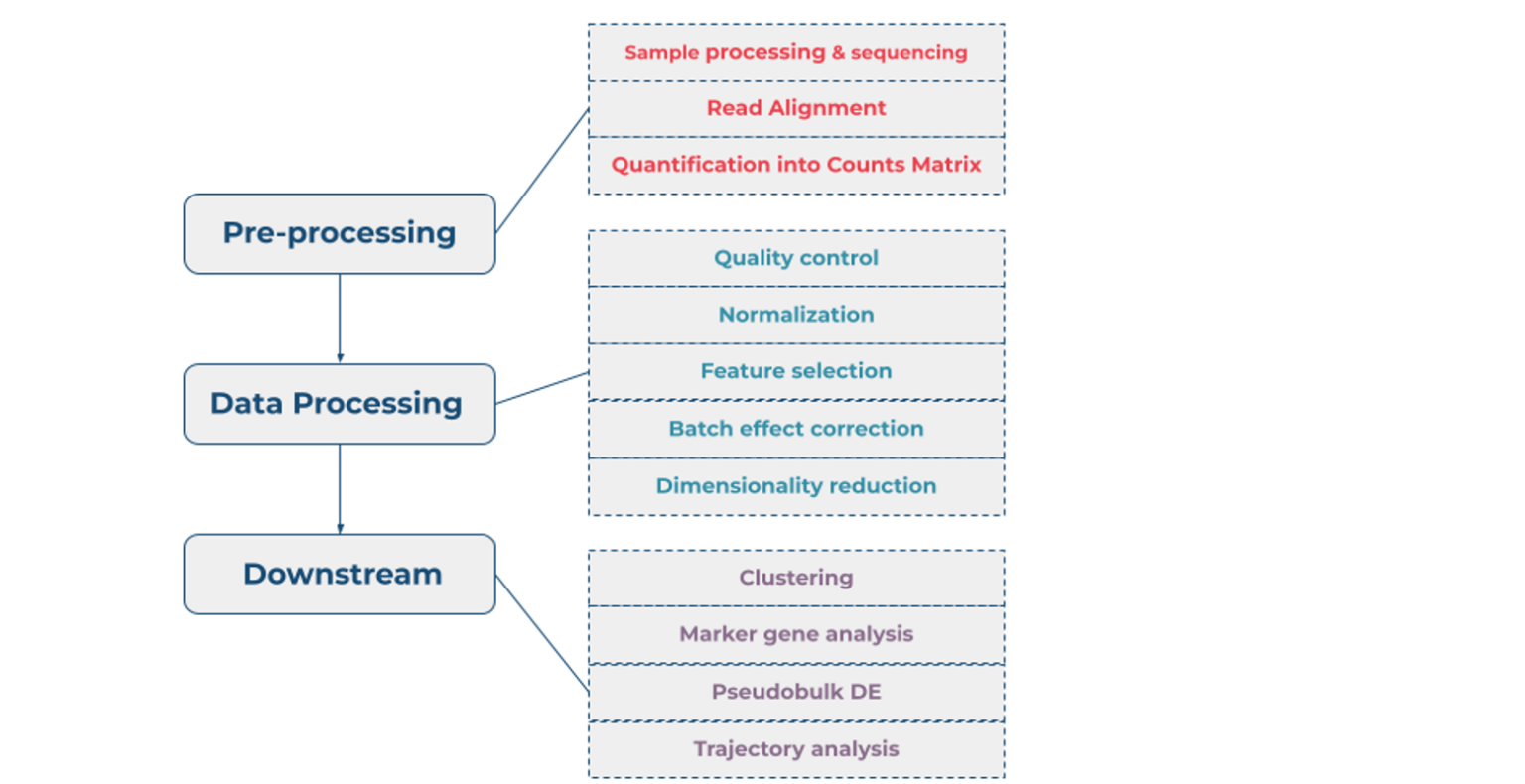 Highly Customizable Multi Sample Single Cell Rna Seq Pipeline On The